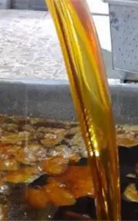شیره نبات مناسب برای زنبور