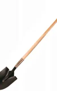 بیل و مقداری وسیله