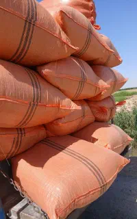 فروش کاه کمباین