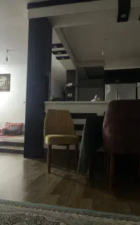 هم خونه
