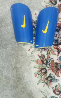 ساق پا