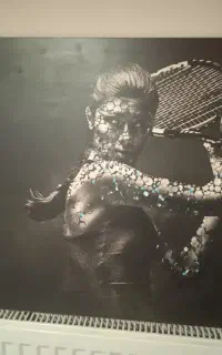 تابلو قهرمان تنیس زنان جهان