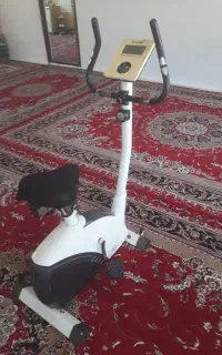 دوچرخه ثابت