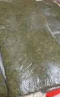 تهیه سبزی شکم پری