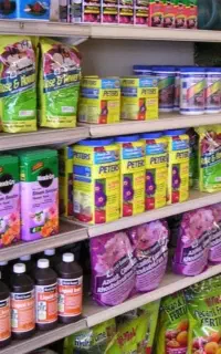 سم ساس سوسک مورچه موش موریانه مارمولک سمپاشی
