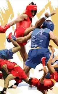 آموزش ووشو ساندا
