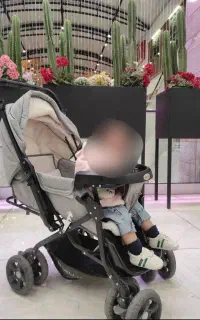 کالسکه به فروش  می‌رسد  فرو ش فوری