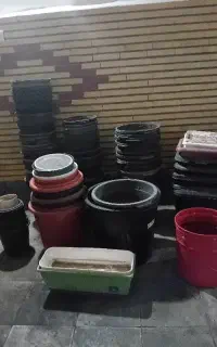 گلدان پلاستیکی