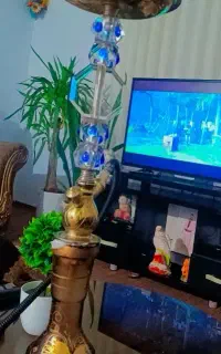 موتر