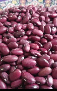 لوبیا قرمز زنجان