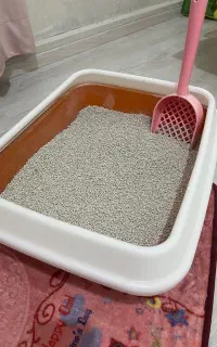 محل خاک گربه