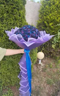 گل ربانی با شاین رایگان