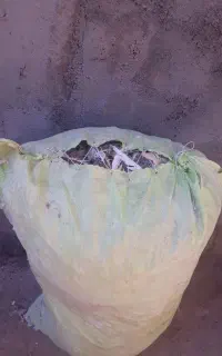 انبارکبوتر