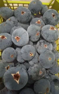 انجیر سیاه