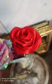گل ربانی