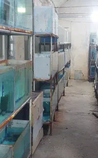 حراج اکواریوم سالنی