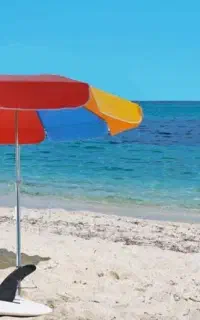 چادر سایه بان چتری سایبان سفری چتر تاشو مسافرتی
