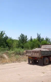 شن ماسه