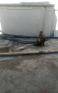 دنبال کار نگهبانی هستم