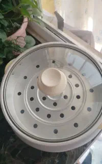 پلوپز، آرام پز ، بخار پز