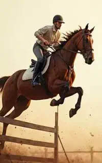 کمک مربی در باشگاه سوارکاری