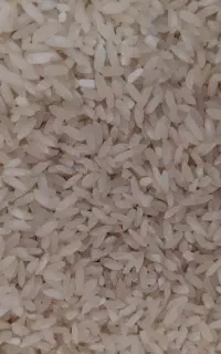 برنج چنار شوه