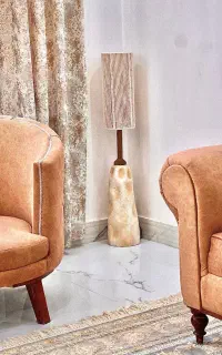 آباژور شیک