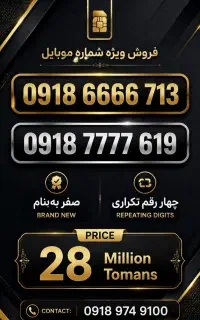 0918-6666-713