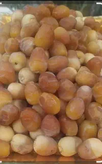 رطب برحی درجه یک