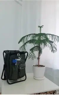 کوله‌پشتی مسافرتی با صندلی سرخود