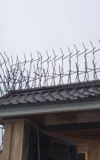 کارگاه صنعتی طبرستان