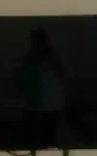 تلوزیون