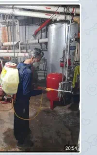سمپاشی سوسک وساس باضمانت کتبی