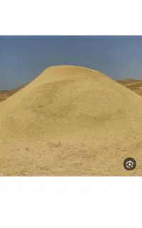 کاه گندم