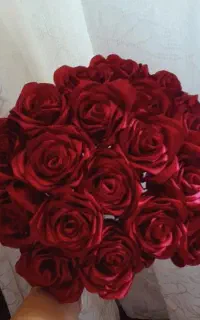 گل‌روبانی‌‌قیمت‌مناسب