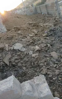 کود گاوی