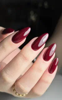 خدمات حرفه ای کاشت