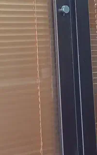 پارتیشن