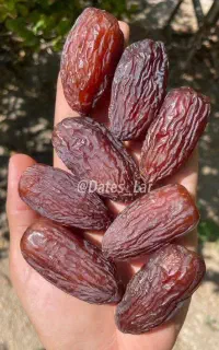 خرما پیارم و ترافل خرما بصورت عمده
