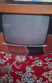 تلویزیون ۱۴ رنگی با چرم دوزی شیک