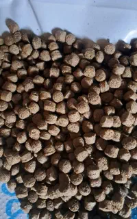 خوراک رو آبی اکسترود ماهی به قیمت تعاونی