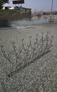 حفاظ درب پنجره نرده باغ خانه دزدگیر دیوار اهن قوطی