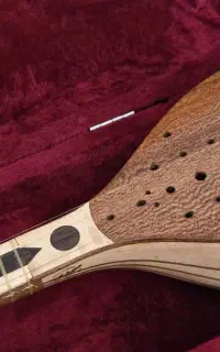 سه تار حرفه ای سرپنجه طاووسی