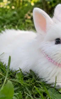 عکسهای خاص و متفاوت بدون اینکه بری اتلیه