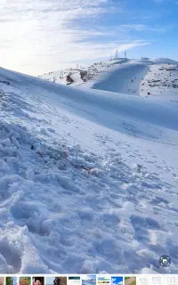 مسافر یاسوج به عسلویه