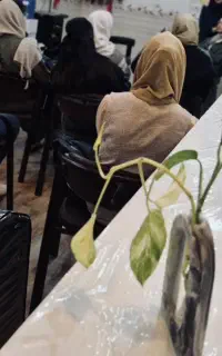 آموزش تمامی لاین ها با ۴۰ درصد تخفیف