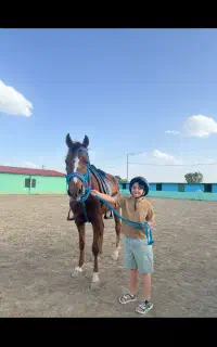 آموزش سوارکاری  بانوان مناسب همه سنین