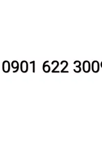 0901-622-3009