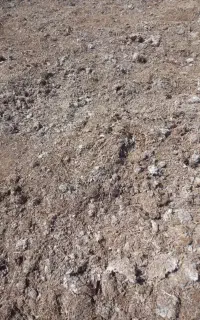 کود کمپوست قارچ تناژ بالا