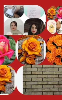 شروع کلاس های تابستانه از پیش دبستانی تا هفتم